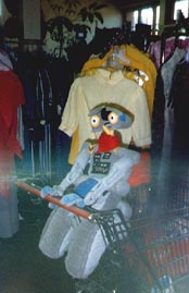 JOhnny goes shopping